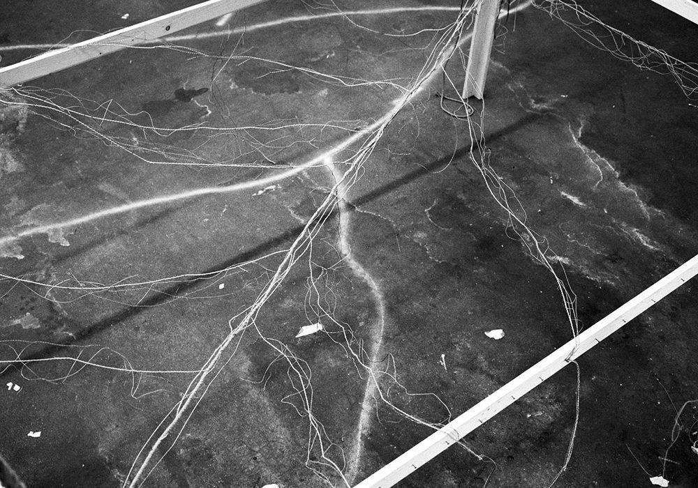 Les forêts rêvées d’Eva Jospin